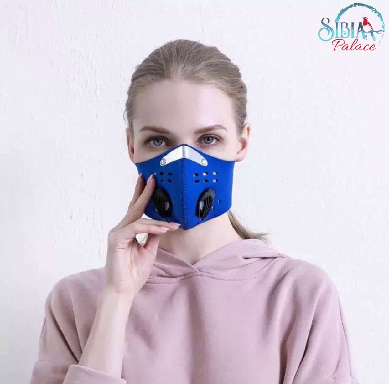 Face Mask With Breathing Dual Valve With Filters Anti Spit Bacteria Dust  Pollen – Sibia Palace