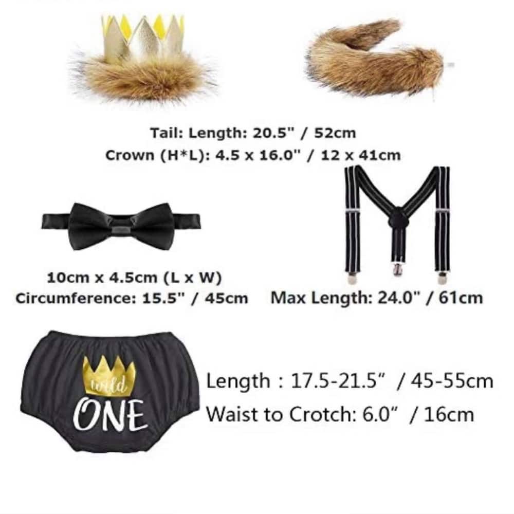 FYMNSI Baby Boy 1st 2nd Birthday Cake Smash Outfit Wild One Lion Costume Photo Props Crown Tail Bow Tie Suspenders Bloomers Set